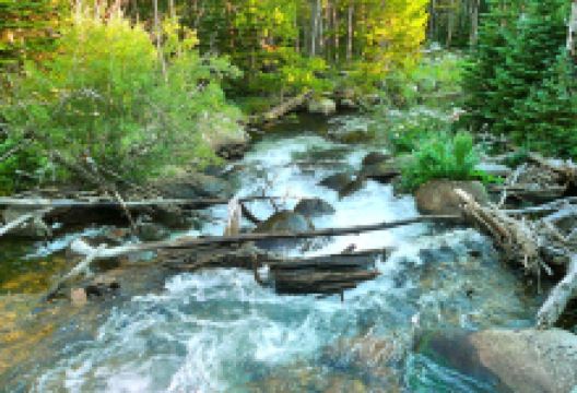 Bear Creek Lake Park景点图片
