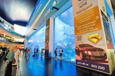 迪拜水族馆和水下动物园-迪拜-尊敬的会员