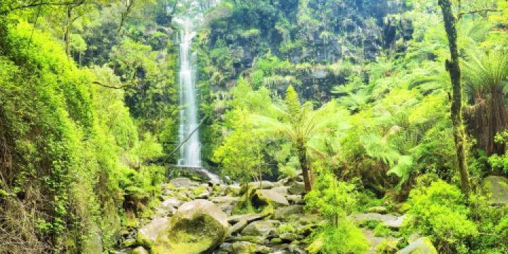 大奧特威國家公園