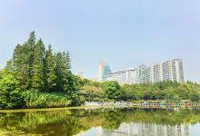 新北中心公园景点图片