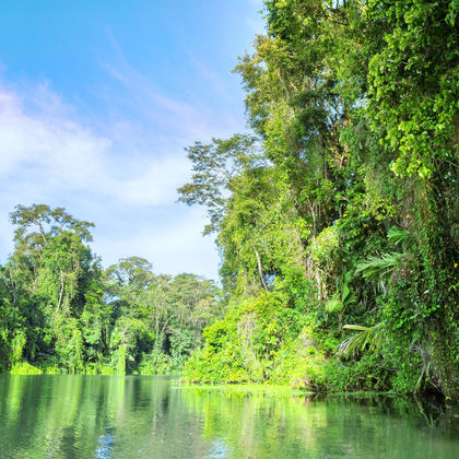 哥斯达黎加托尔图格罗国家公园一日游