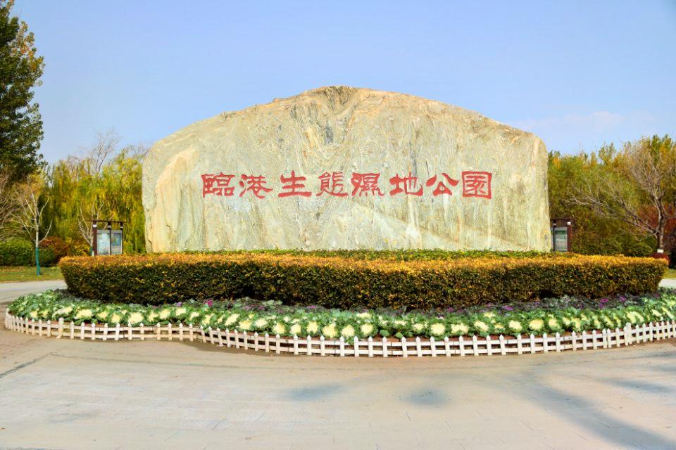临港生态湿地公园