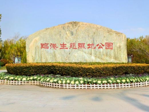 临港经济区生态湿地公园