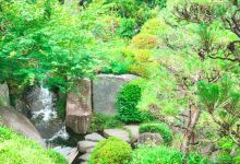 目白庭园景点图片