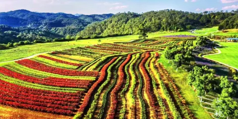 騰衝原鄉棲花嶺景區