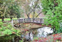 UC Davis Arboretum and Public Garden景点图片