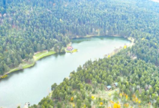 阿邦特湖自然公园景点图片