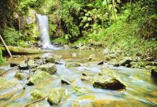 坦伯林山景点图片