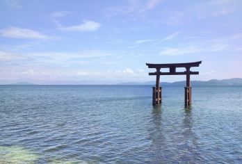 琵琶湖+旧竹林+白须神社+美秀美术馆一日游【包车游&中文】【[当地中文司导，行程可调]】