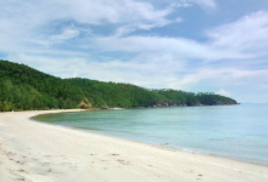 Mae Haad Beach景点图片