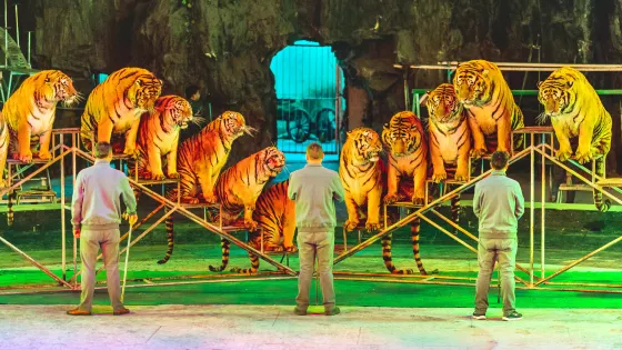 浦口珍珠泉野生動物生態園
