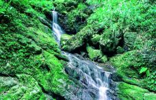 黑山谷风景区-重庆-YoYo_4L3N6O6X