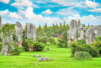 昆明石林景区+九乡一日游【纯玩无购物+含九乡索道+优选导游】【[缤纷景点]奇特石林+九乡溶洞、夏季避暑好去处】