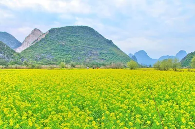 田心村