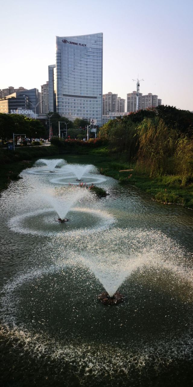 碧湖生态公园旅行图片 2