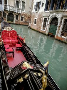 威尼斯-翱翔的大鲨鱼