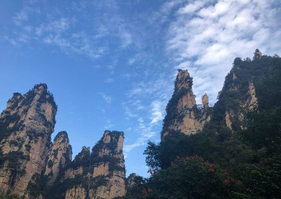 去湖南张家界旅游需要带什么、要做哪些准备？张家界旅游攻略