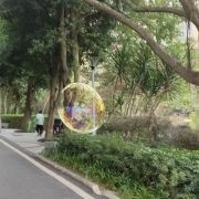 石门公园旅行图片 3