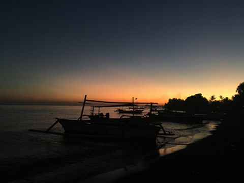 遇见——罗威纳海豚