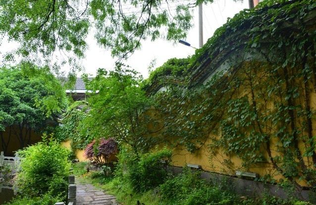 迎江寺旅行图片 3