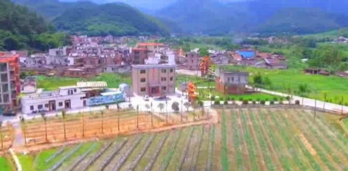 岗塝