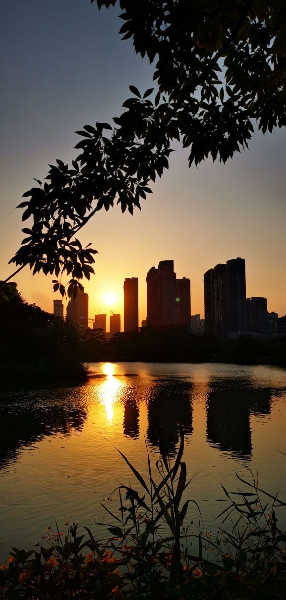 碧湖生态公园旅行图片 2
