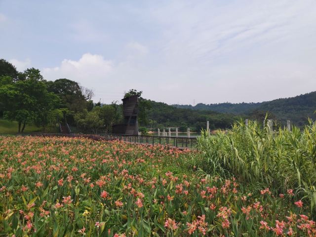 金钟水库旅行图片 4