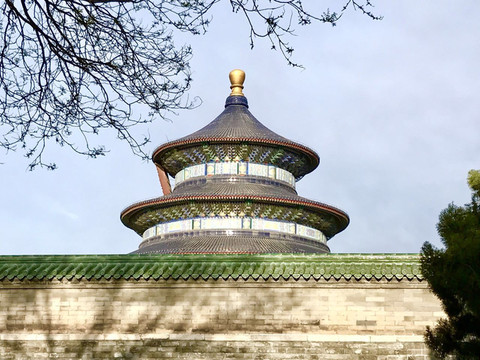 北京 天壇公園打鳥一族。