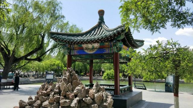 宣化人民公园旅行图片 1
