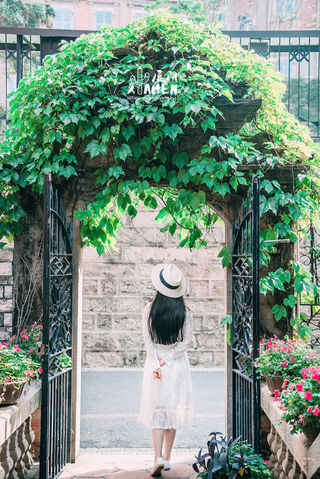 【厦门攻略】旅行不留遗憾！为了仙人掌，我愿意再去一次厦门——厦门攻略