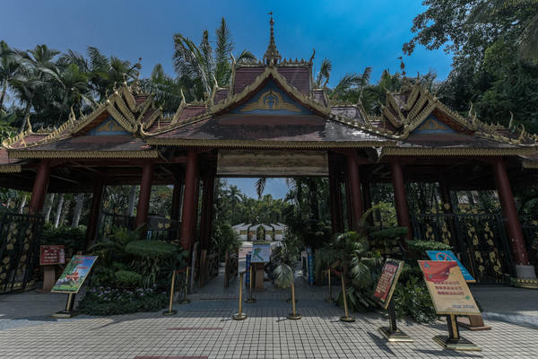 西双版纳最热门景区,以最低价门票著称,多种看点深受游客欢迎
