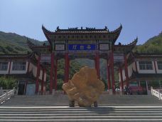 灯台架景区-舞钢-大松树叶子