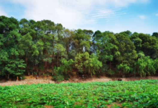 百工堰公园景点图片
