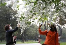 丁香公园-哈尔滨--自由飞翔_