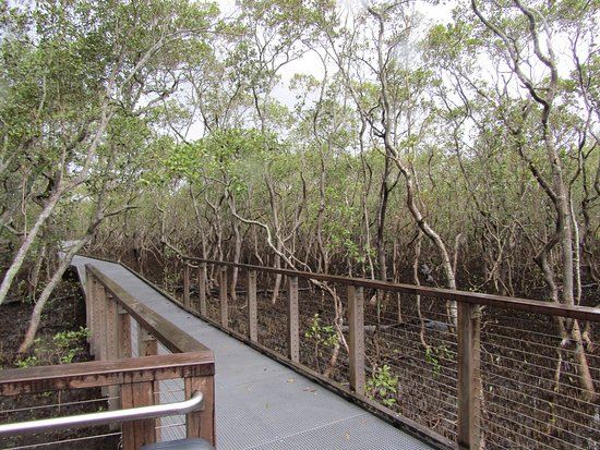 David Fleay Wildlife Park
