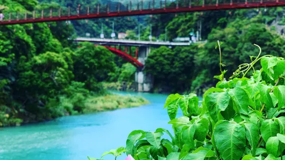烏來吊橋