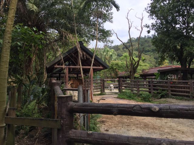 Taipei Zoo