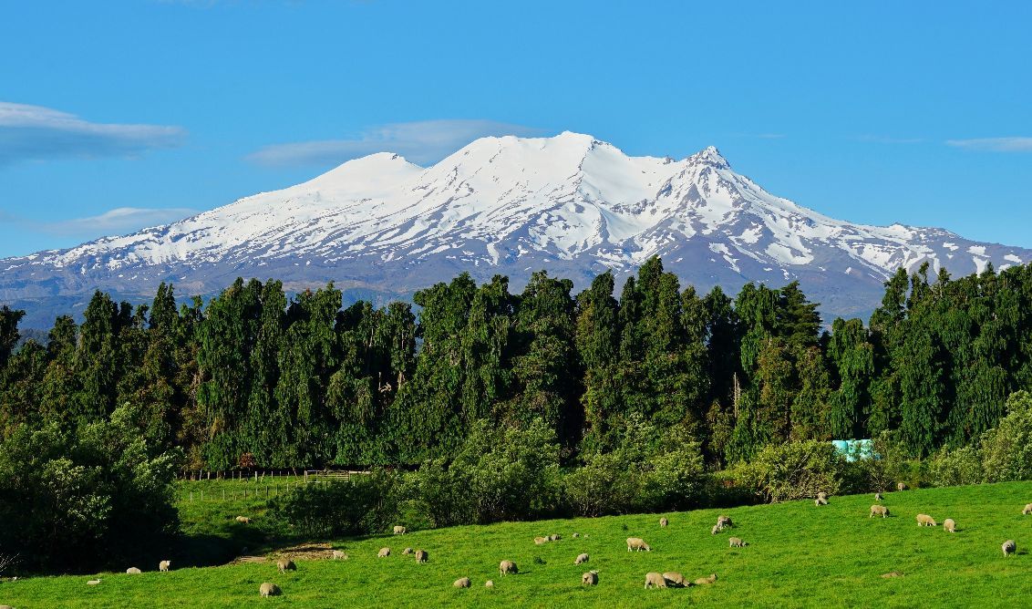 #向往的生活 住进新西兰海拔最高的酒店看雪山