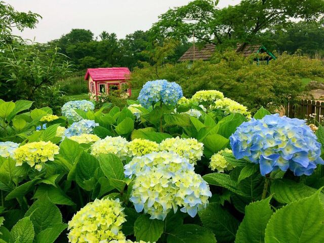 Eco Land Theme Park