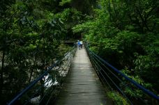 仙寓山景区-石台-海阔天空