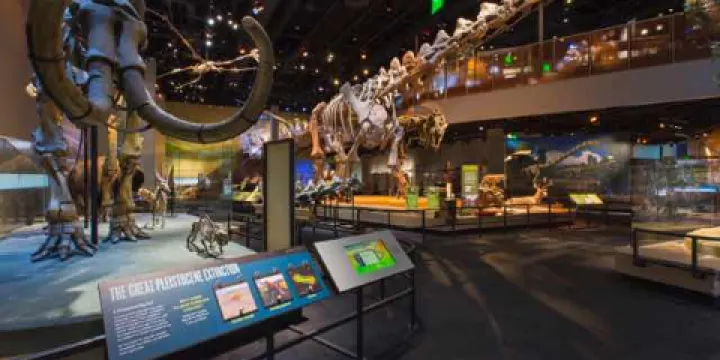 佩洛特自然科學博物館