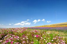 滦河神韵-沽源-小张太子jade