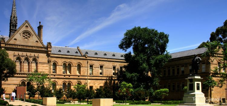 Kết quả hình ảnh cho university of adelaide