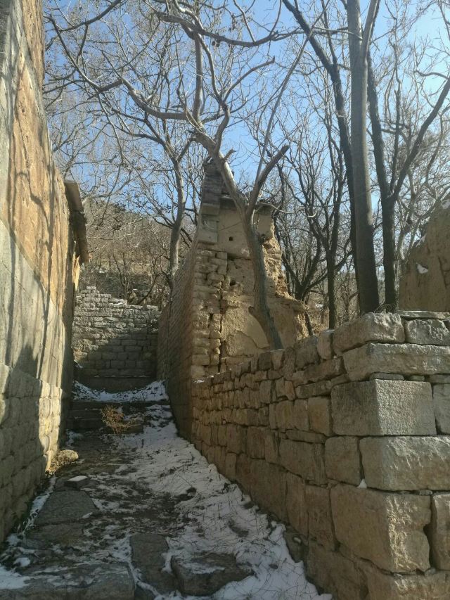 주자위