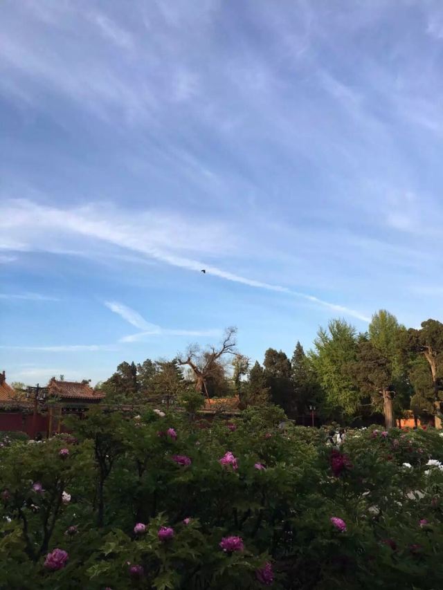 Jingshan Park
