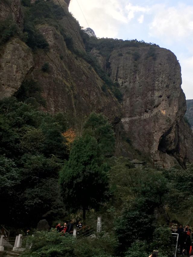 링펑징취