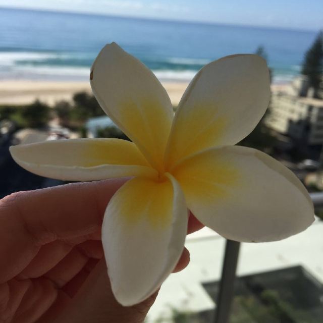 Surfers Paradise