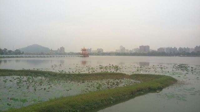 Lianchi (Lotus) Lake