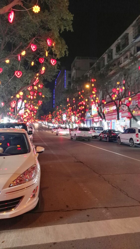 苍溪县城解放路西段街景