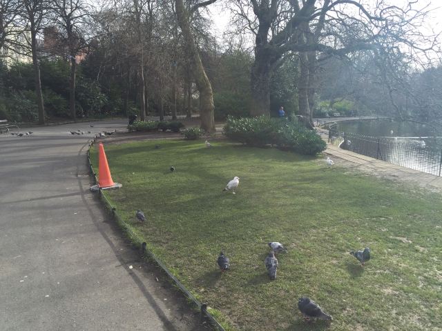 St. Stephen's Green